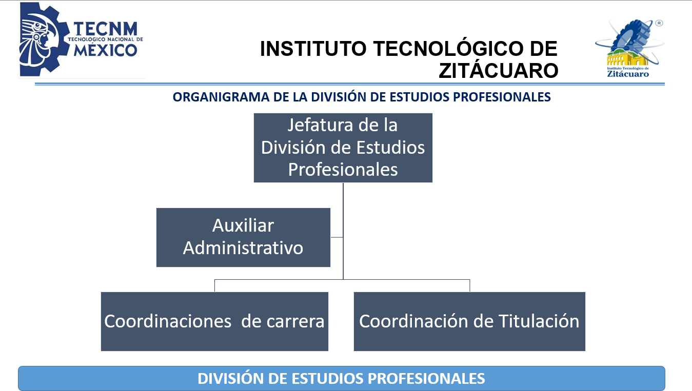 organigrama division de estudios profesionales